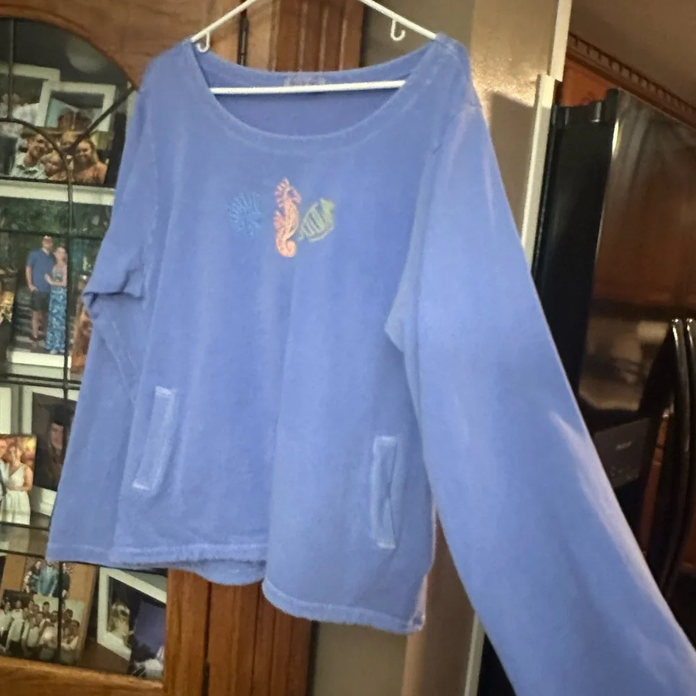 XL/XXL Stretchy Fresh Produce Blue Distressed Sweatshirt. Runs small ! - Picture 8 of 15